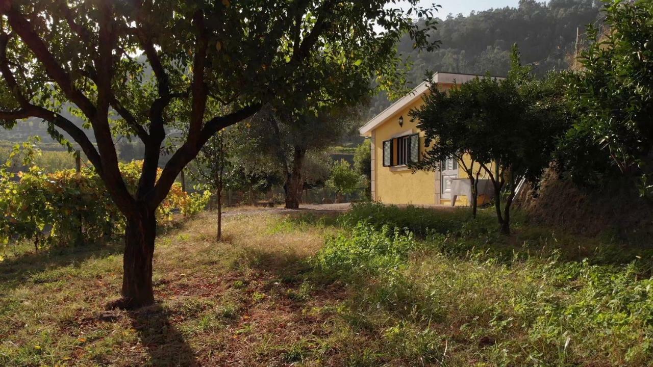Casa Dos Limoeiros Em Ribas Celorico De Basto Exterior photo